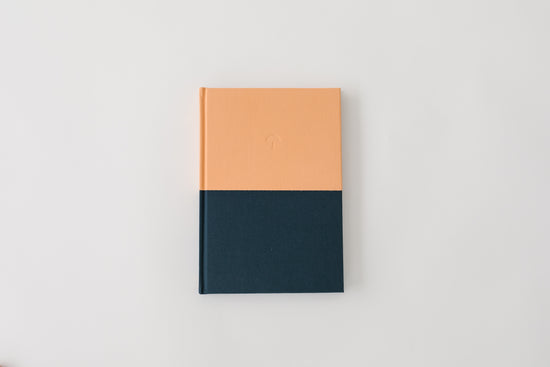 My Big Feelings Journal: Discovering and Mastering Emotions (Tangerine-Navy)