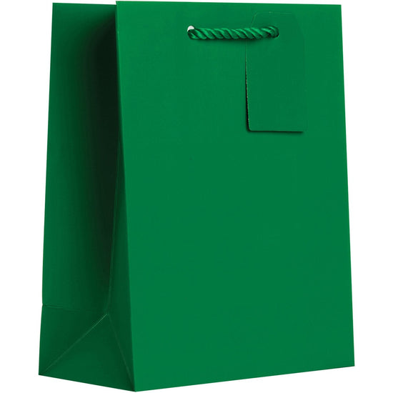 Heavyweight Solid Color Medium Gift Bags, Matte Green by Present Paper