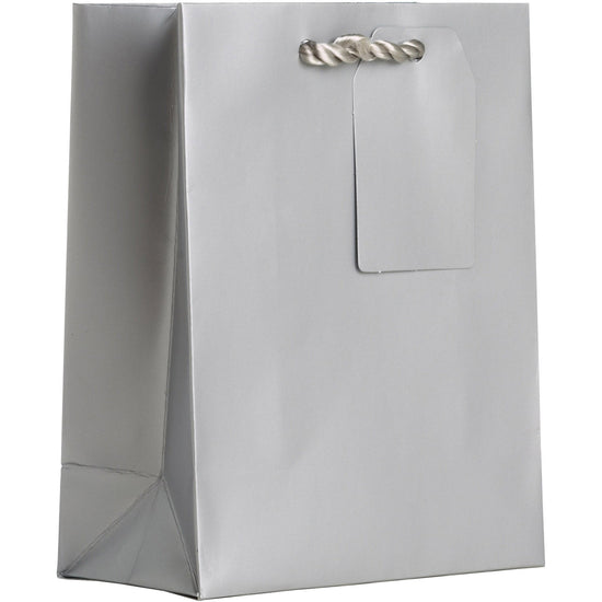 Heavyweight Solid Color Small Gift Bags, Matte Metallic Silver by Present Paper