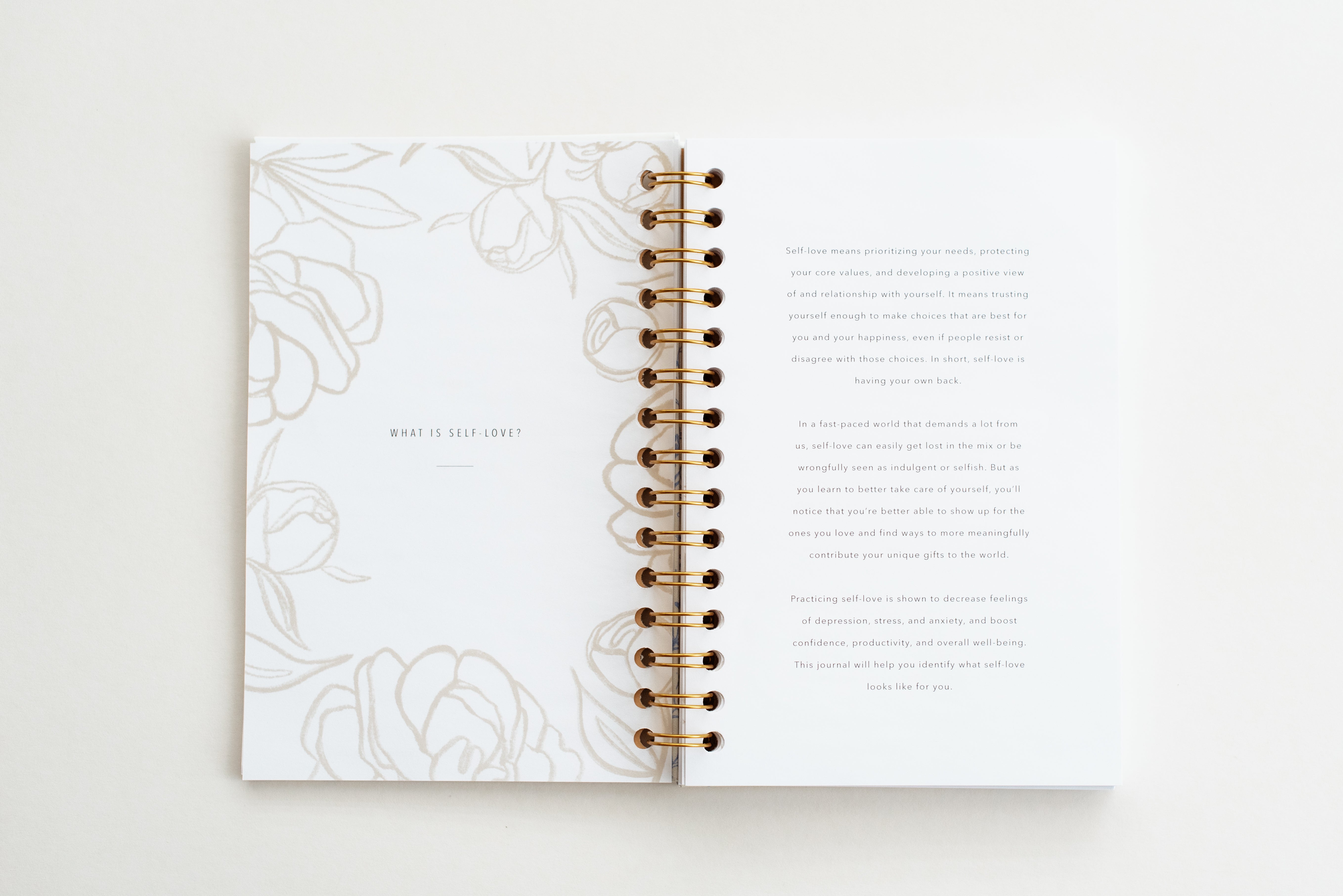 Self-Love Journal - Bundle – Promptly Journals