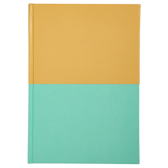 My Big Feelings Journal: Discovering and Mastering Emotions (Ochre-Mint)